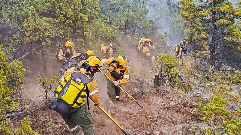 Brigadistas de Catamarca continúan el combate del fuego en Chubut