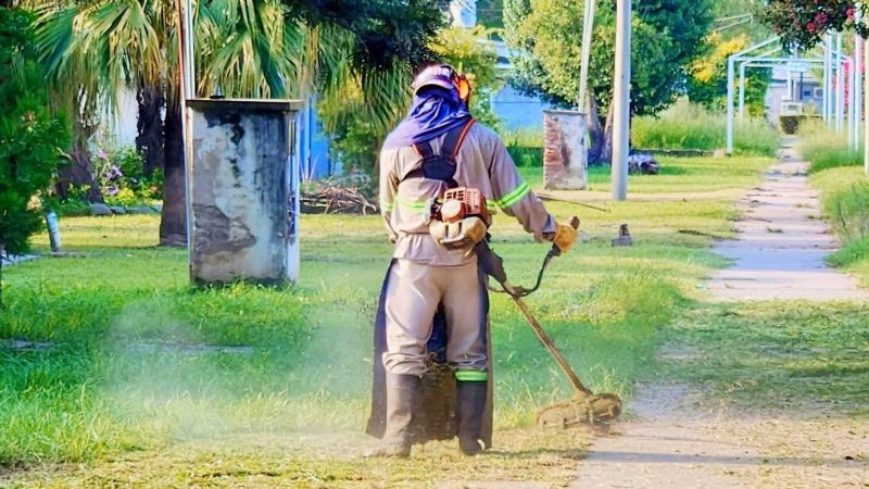 Acciones contra el Dengue en Los Altos