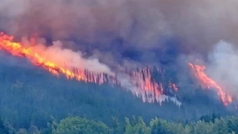 La mesa política analizará si se declara la emergencia por el fuego en la Patagonia
