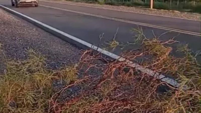 Cortan la Ruta 60 por reiterados problemas en el servicio eléctrico