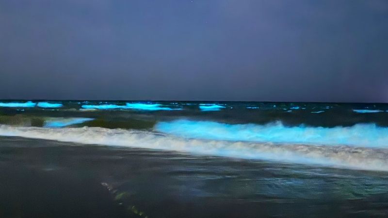 Invasiòn de noctilucas en Punta del Este pone en guardia a turistas