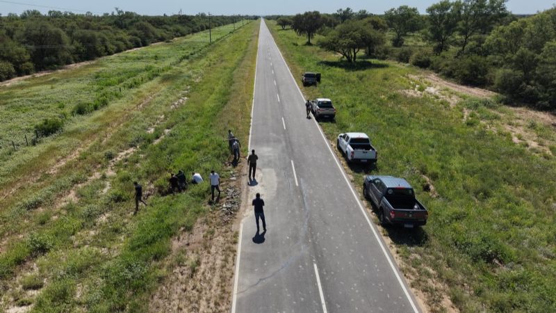 Hormigas atacan las rutas y hunden el pavimento