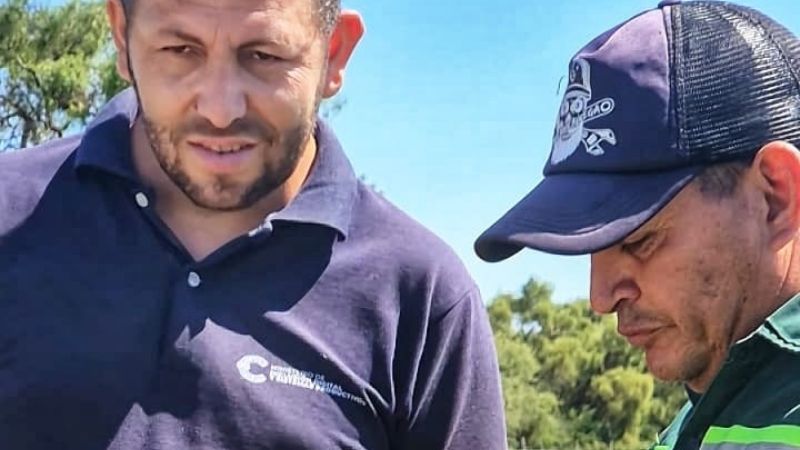 Hormigas atacan las rutas y hunden el pavimento