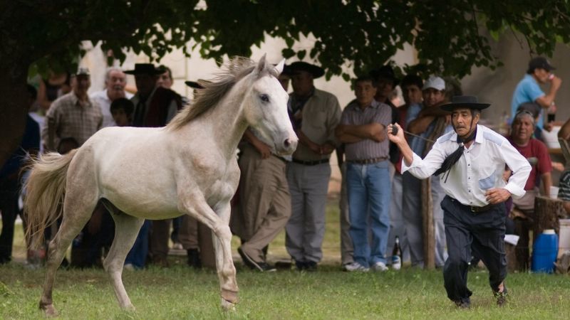La segunda semana de enero llega con una intensa agenda turística