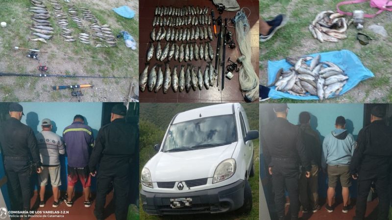 Secuestran truchas y arrestan a cuatro personas en Ambato