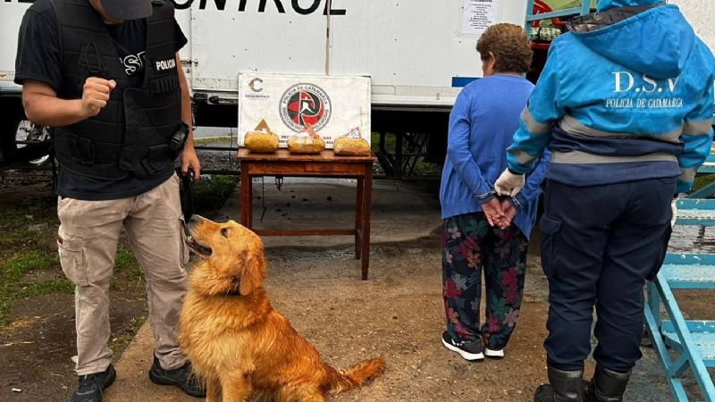 Cayó una mujer de 76 años con casi 3 kilos de droga escondidos en piñatas