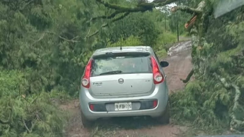 La tormenta causó estragos en Ancasti
