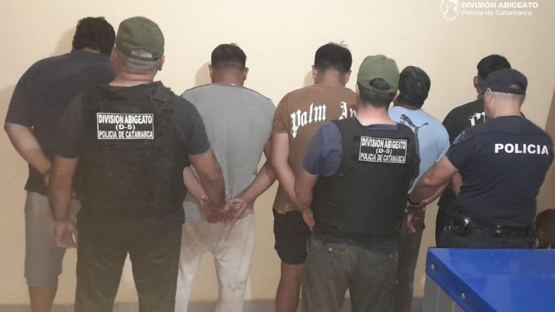 Cinco detenidos por el robo y faenamiento de un animal