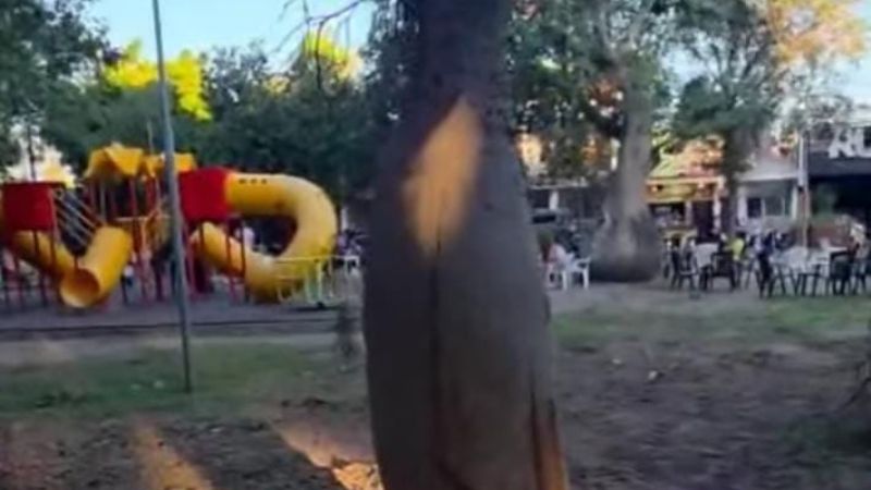 Malestar vecinal por la tala de árboles en la Plaza El Aborigen