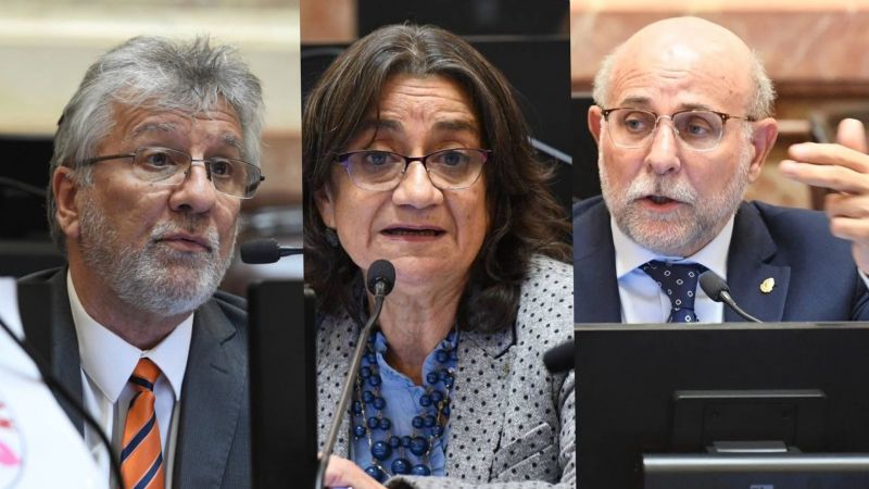 Reforma laboral: así votaron los senadores catamarqueños
