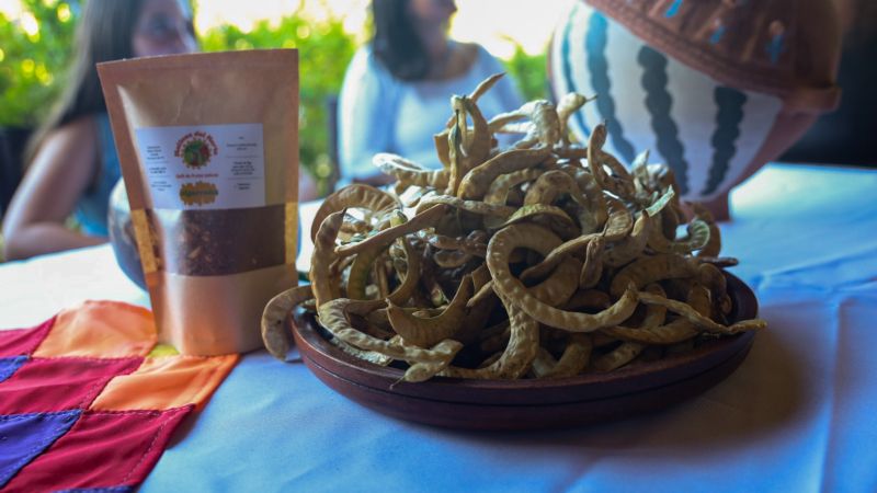Aloja de algarroba: un elixir con raíces ancestrales