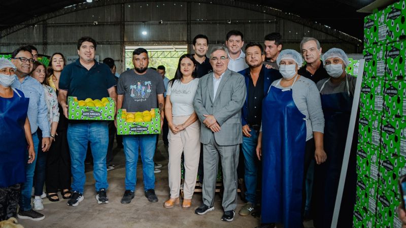 Más de 15.000 kilos de membrillos catamarqueños llegan al Mercado Central