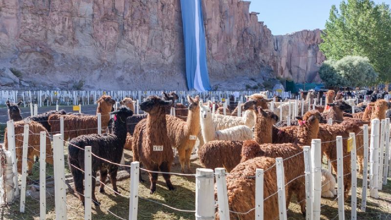 Nutrida agenda cultural para despedir febrero en Catamarca