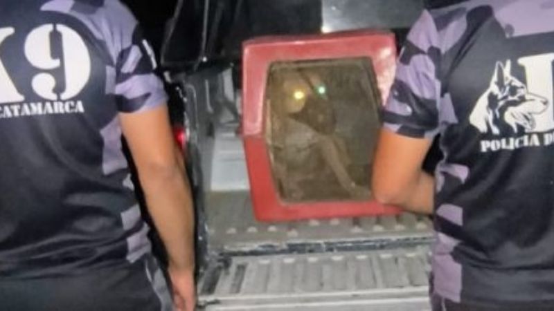 Su perro atacó a dos personas y fue imputada por las lesiones