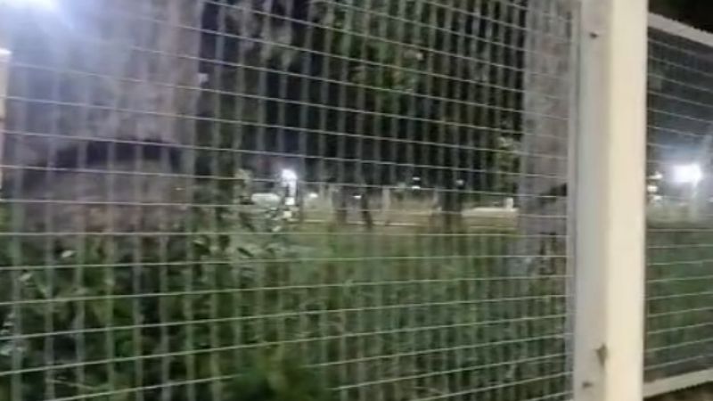 Bañado de Ovanta: alumnos y docentes reclaman limpieza y desmalezado