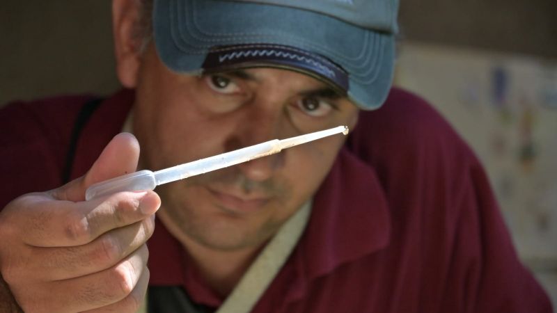 Salud intensifica el control focal contra el dengue en barrios de la Capital