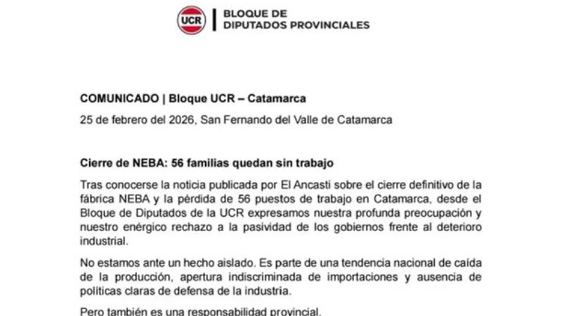 Cierre de NEBA: la UCR denuncia pasividad gubernamental