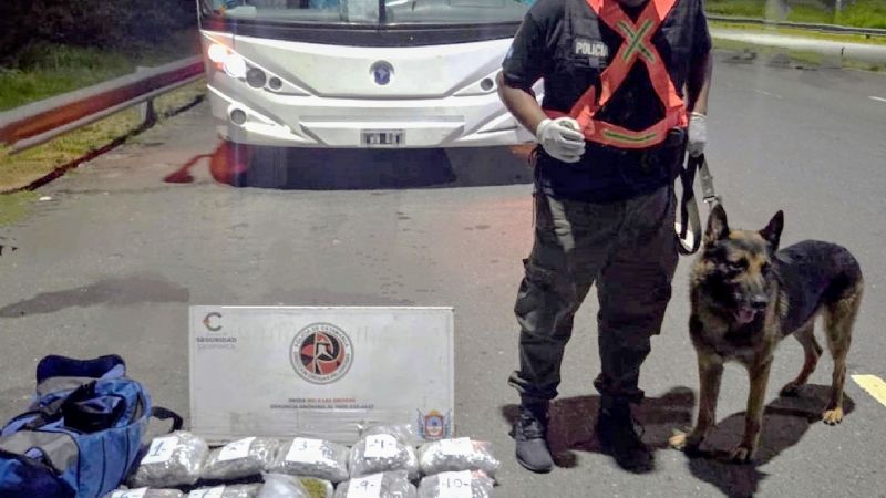 Secuestran casi 4 kilos de marihuana en un colectivo y detienen a un joven