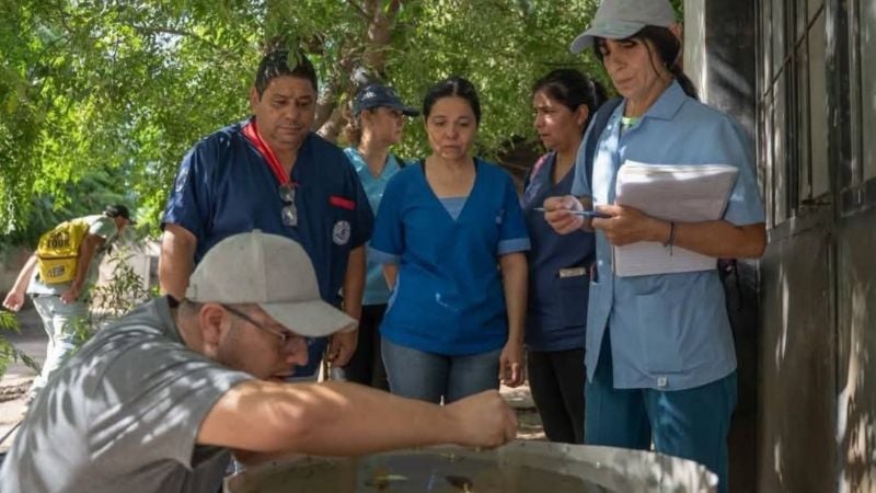 Tareas de prevención de dengue en Valle Viejo