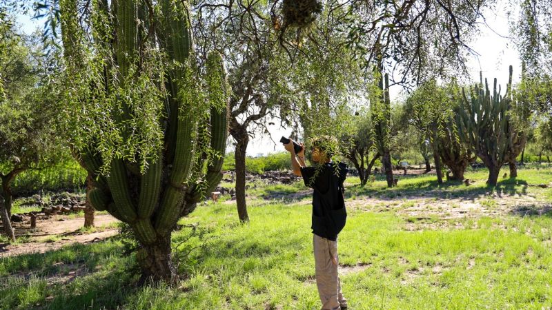 Este martes habrá un nuevo Safari Fotográfico en el Pueblo Perdido de la Quebrada