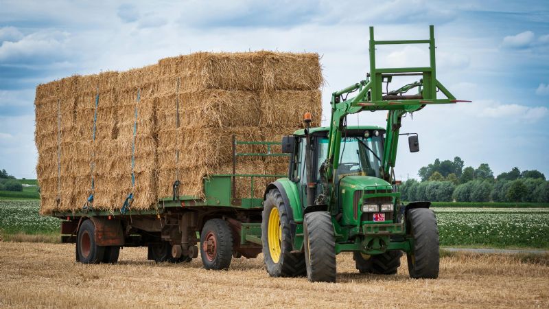 El Gobierno elimina trámites y exime al campo de habilitaciones municipales