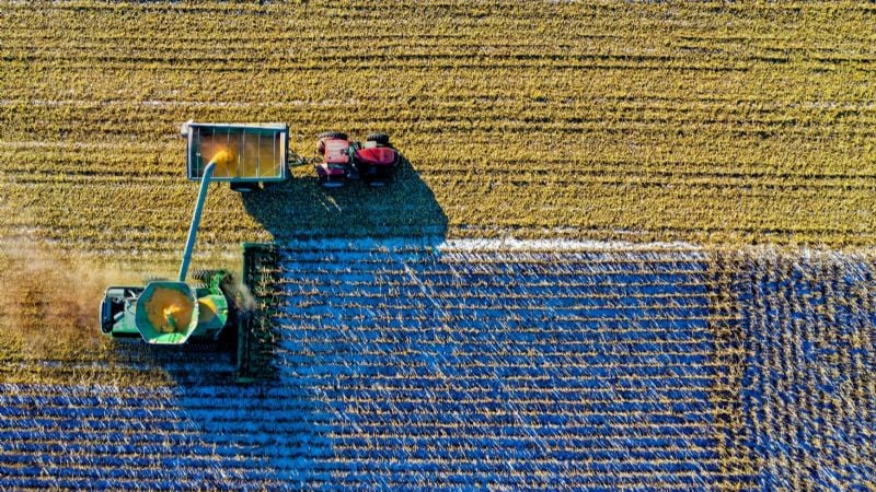 Banco Nación lanzó créditos para el campo con tasas desde 0% en dólares