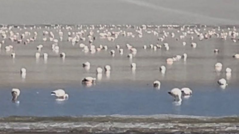 Antofagasta de la Sierra: Visitas a Sitio Ramsar