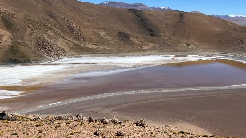 Antofagasta de la Sierra: Visitas a Sitio Ramsar