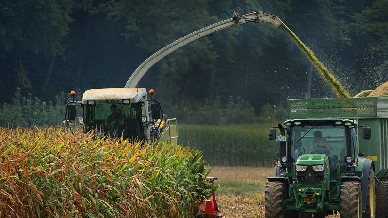 Cosecha histórica y lluvia de dólares: proyectan hasta 160 millones de toneladas