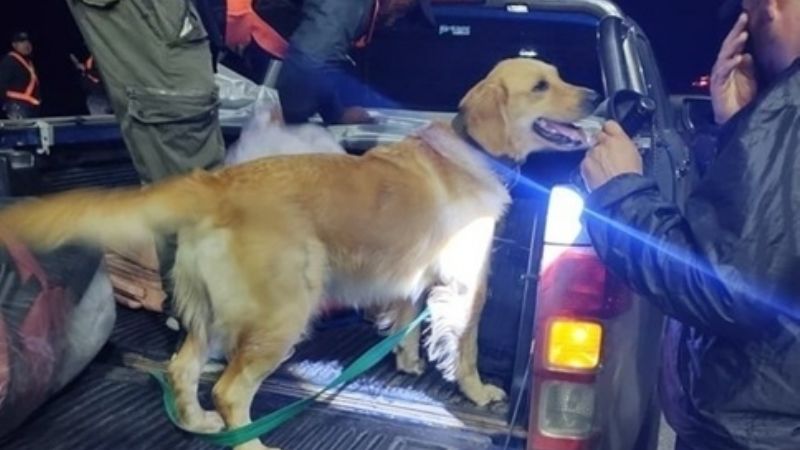 Secuestran un colectivo por alcoholemia positiva del chofer