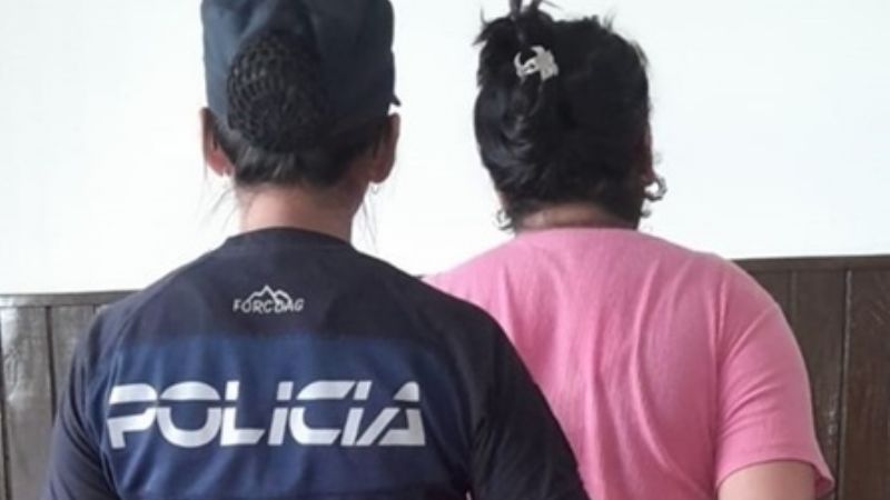Detienen a una mujer que hirió con un cuchillo a un hombre