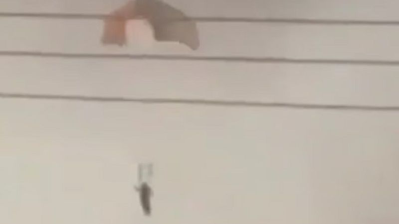 Por error, Kuwait derribó tres aviones estadounidenses