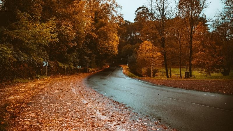 El otoño ya empezó y trae días más frescos y equilibrados