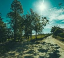 Lunes feriado con sol, viento y una tarde agradable