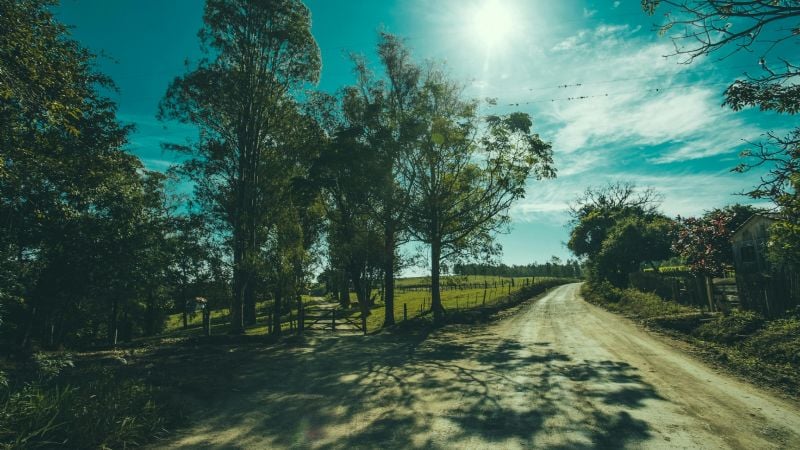 Lunes feriado con sol, viento y una tarde agradable