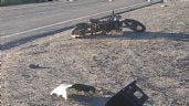 Una niña de 6 años perdió la vida en un trágico accidente vial