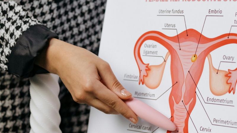 El Día Mundial contra el cáncer de cuello uterino renueva el llamado a controles y vacunación