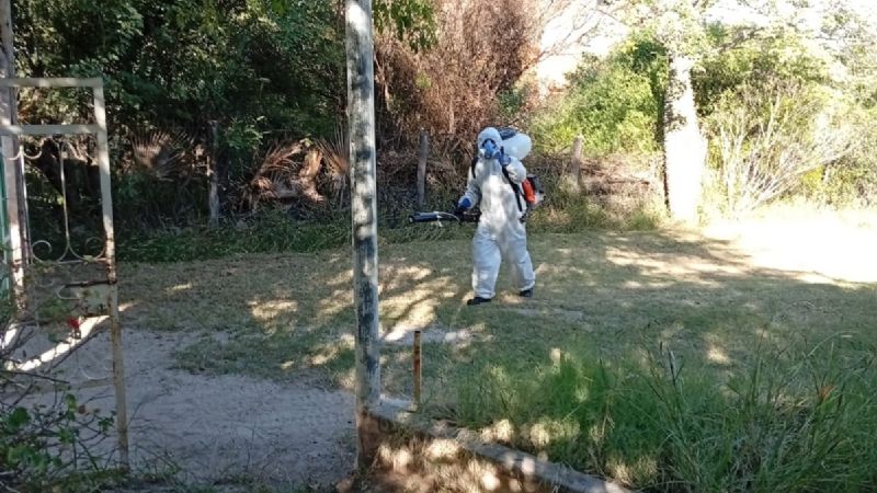 Fumigación en Andalgalá ante caso autóctono de Dengue