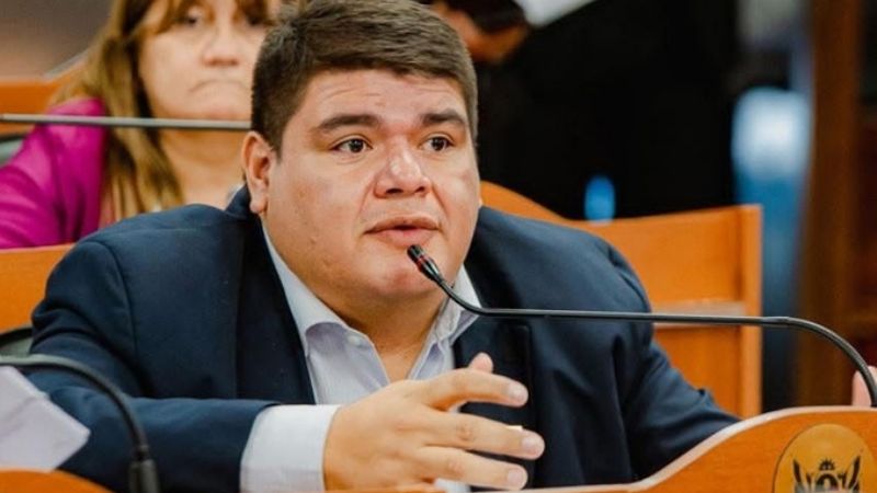Para el diputado Hernan Diaz, referentes libertarios apoyan implícitamente el tarifazo eléctrico
