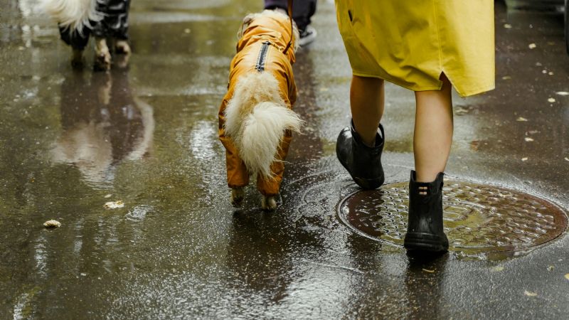 Alerta amarilla por tormentas en 9 provincias