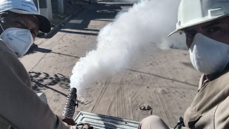 Tres casos de Dengue y 11 de Chikungunya en marzo: sin fallecidos en la provincia
