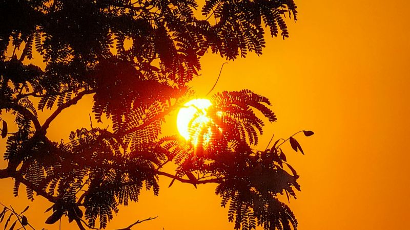 Bloqueo atmosférico y calor intenso: hasta cuándo seguirán las altas temperaturas