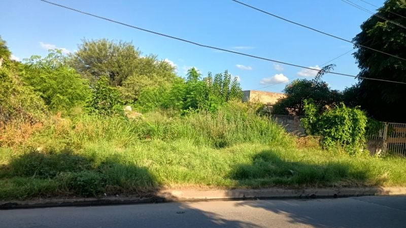 Vecinos denuncian abandono de un baldío en barrio Alem y reclaman intervención urgente