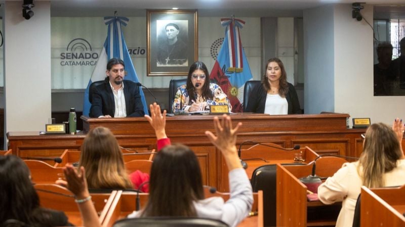 Extraordinarias: El Senado se reunirá los jueves a las 10