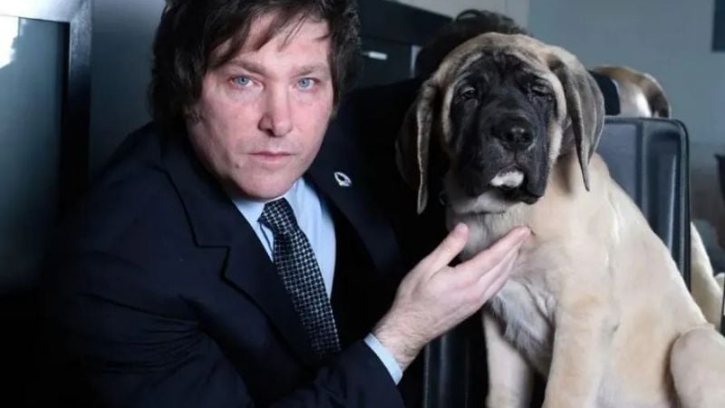 Murió Robert, el perro clonado de Conan que acompañaba a Javier Milei