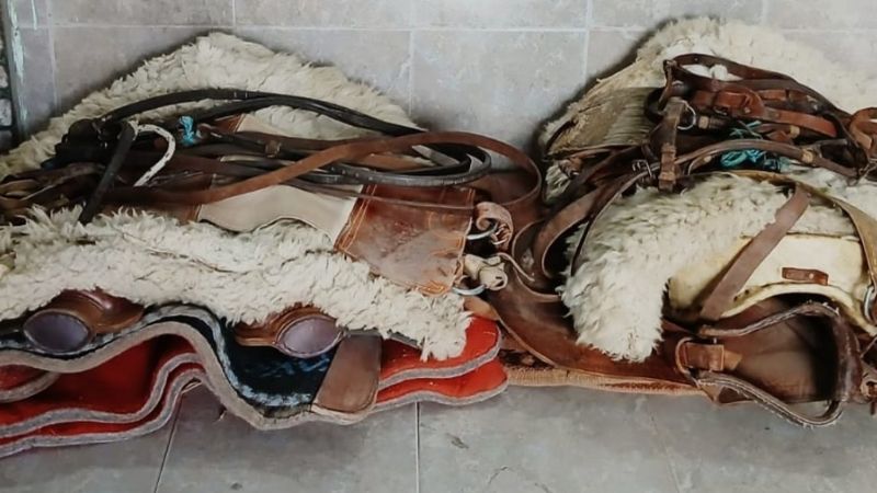 Policías recuperaron monturas robadas en Capayán