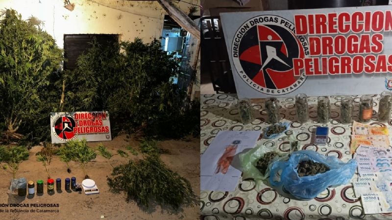 Detienen a dos personas y secuestran casi un kilo de marihuana, plantas y elementos vinculados