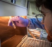 Dan de baja definitiva dos laboratorios vinculados al fentanilo contaminado