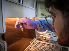 Dan de baja definitiva dos laboratorios vinculados al fentanilo contaminado