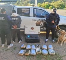 Cayó con más de 12 kilos de marihuana en un colectivo